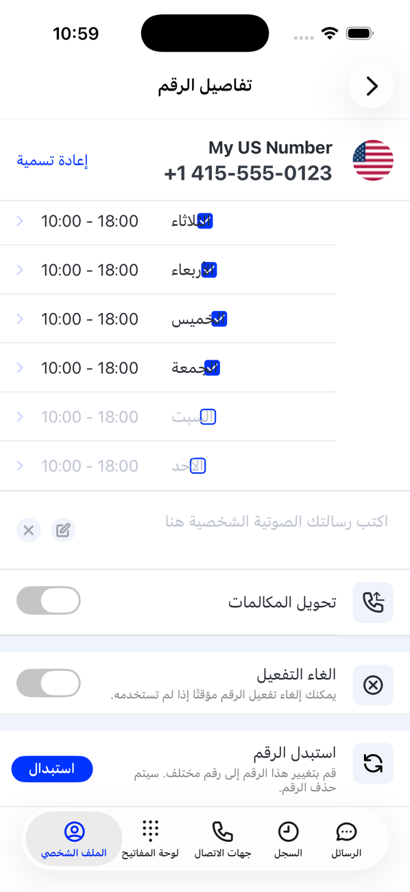 النصف السفلي من تفاصيل الرقم: ساعات العمل، ومربع رسالة البريد الصوتي الشخصية، وتحويل المكالمات، وإلغاء تفعيل الرقم، واستبدال الرقم