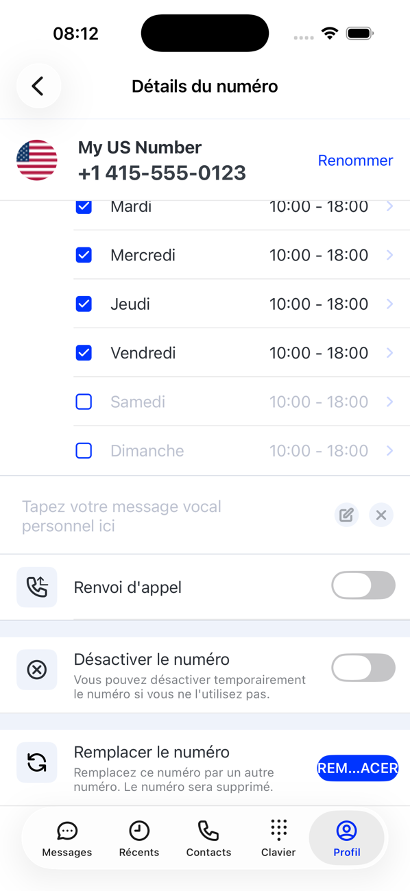 Moitié inférieure de Détails du numéro : horaires d'ouverture, zone du message d'accueil personnalisé, Renvoi d'appel, Désactiver le numéro et Remplacer le numéro