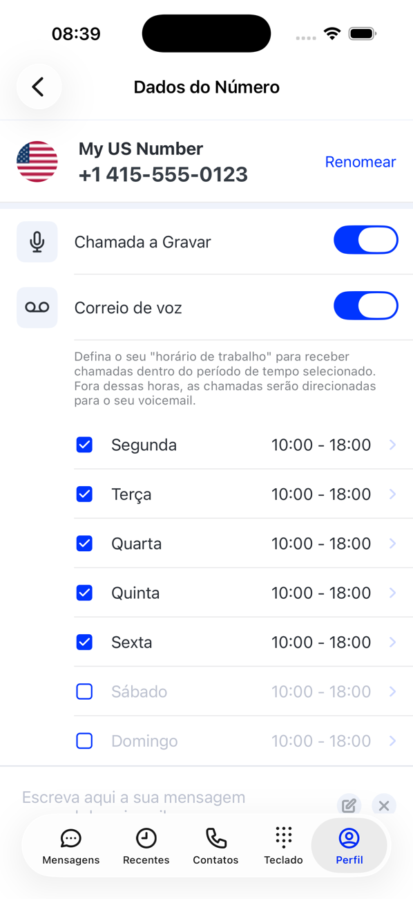 Tela Detalhes do número do número principal com os interruptores Gravação de chamadas e Correio de voz e o horário comercial por dia